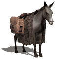 donkey2_standing_md_wht.gif