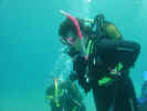 picture_029_small1.jpg