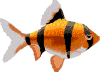 strippedfish.gif
